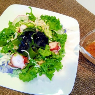カリーノケールとタコの海藻サラダ